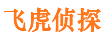 汤原出轨调查